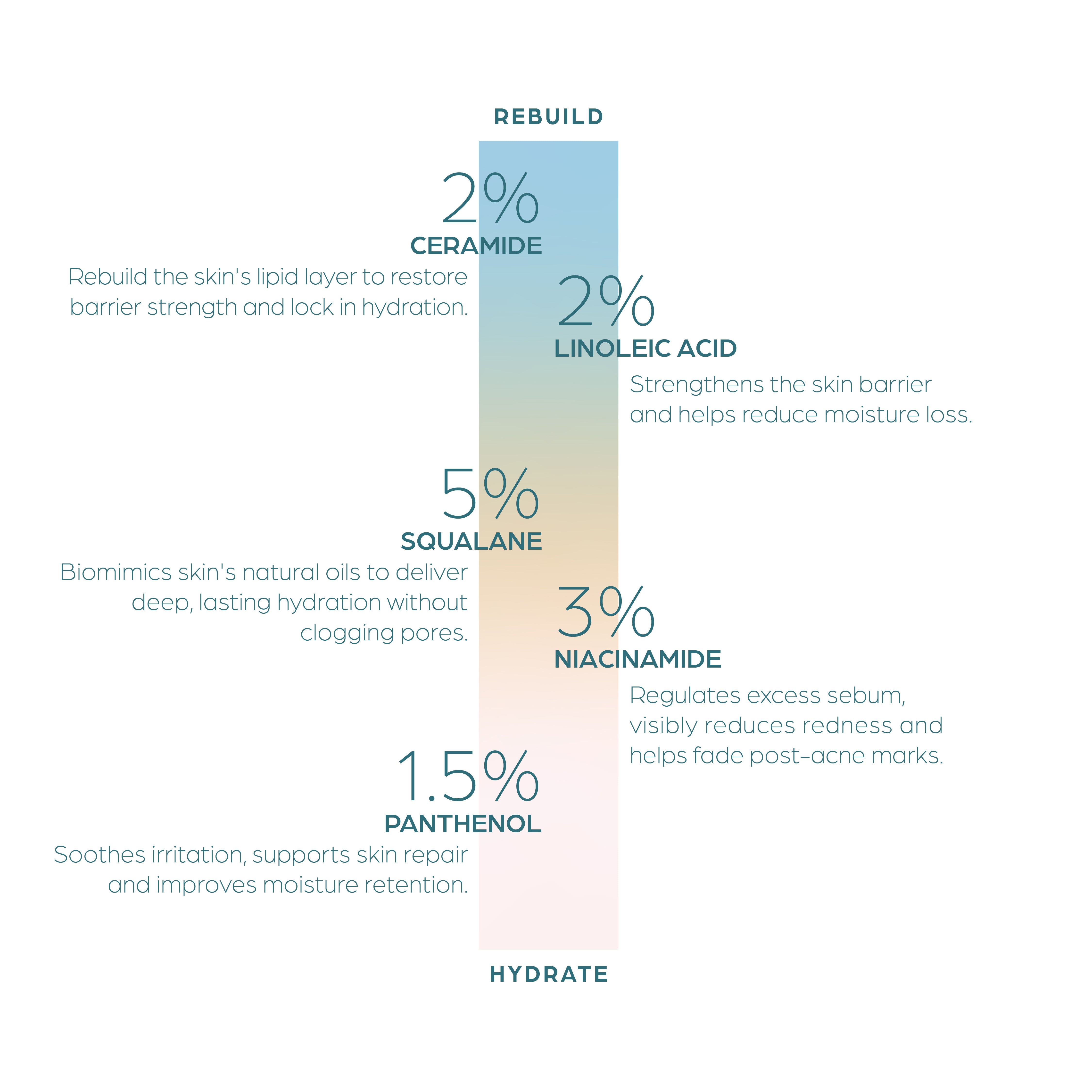 Rebuild + Hydrate | Weightless Moisturizer